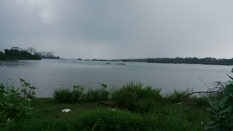Adyar river