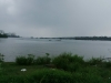 Adyar river
