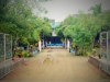 IMG-20190729-WA0011