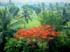 IMG-20190729-WA0015